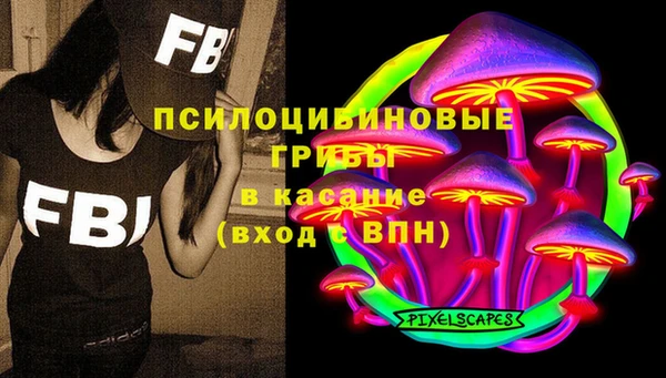амф Алзамай