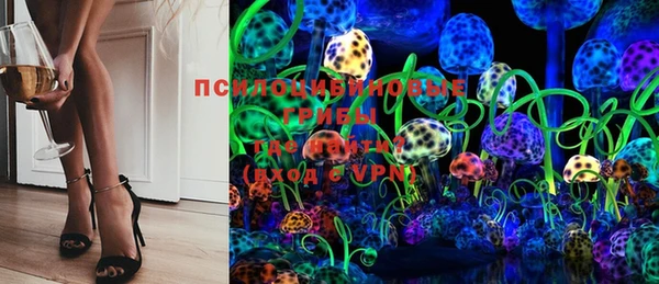 МДПВ Мегион