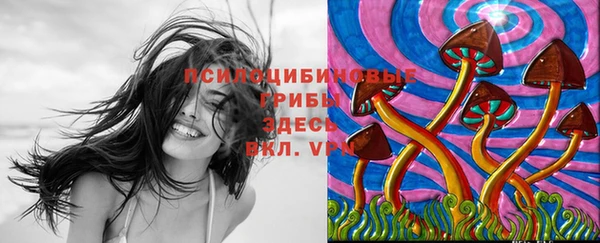 амф Алзамай