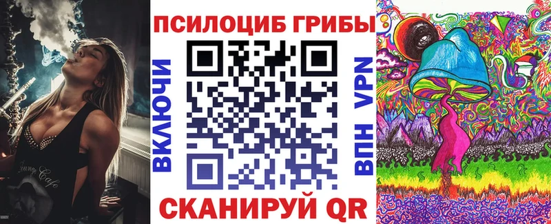 ОМГ ОМГ маркетплейс  хочу наркоту  Шуя  Галлюциногенные грибы Psilocybe 